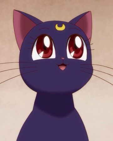 Luna Sailor Moon Crystal Wiki Fandom Luna Sailor Moon Crystal Wiki Fandom