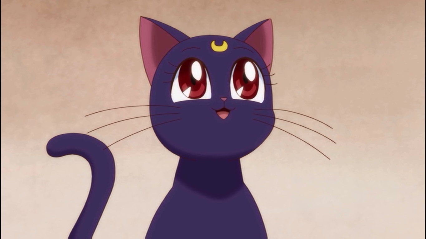 Luna | Sailor Moon Crystal Wiki | Fandom