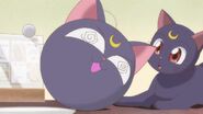 Sailor moon crystal act 17 luna p and luna-1024x576