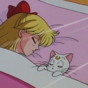 Kindergarten Chaos Sailor Moon Crystal Wiki Fandom