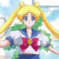 Usagi Tsukino Sailor Moon Crystal Wiki Fandom Things get complicated when seiya shows usagi interests and she tries to ski the black diamond to impress mamoru. usagi tsukino sailor moon crystal