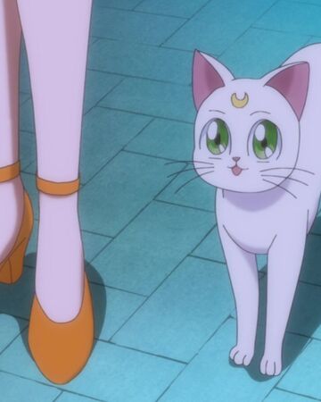 Artemis Sailor Moon Crystal Wiki Fandom See more of sailor moon on facebook. artemis sailor moon crystal wiki fandom