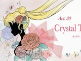 Act 20. Crystal Tokyo, King Endymion