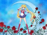 Sailor Moon