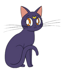 Luna Sailor Moon Dub Wiki Fandom