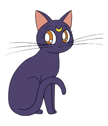 Luna Sailor Moon Dub Wiki Fandom