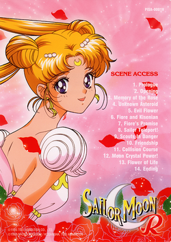 The Promise of the Rose Sailor Moon Dub Wiki Fandom