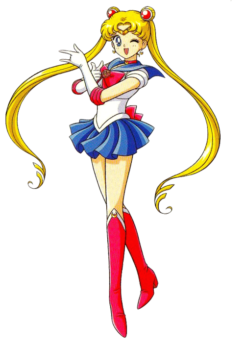 Sailor Moon, Wiki
