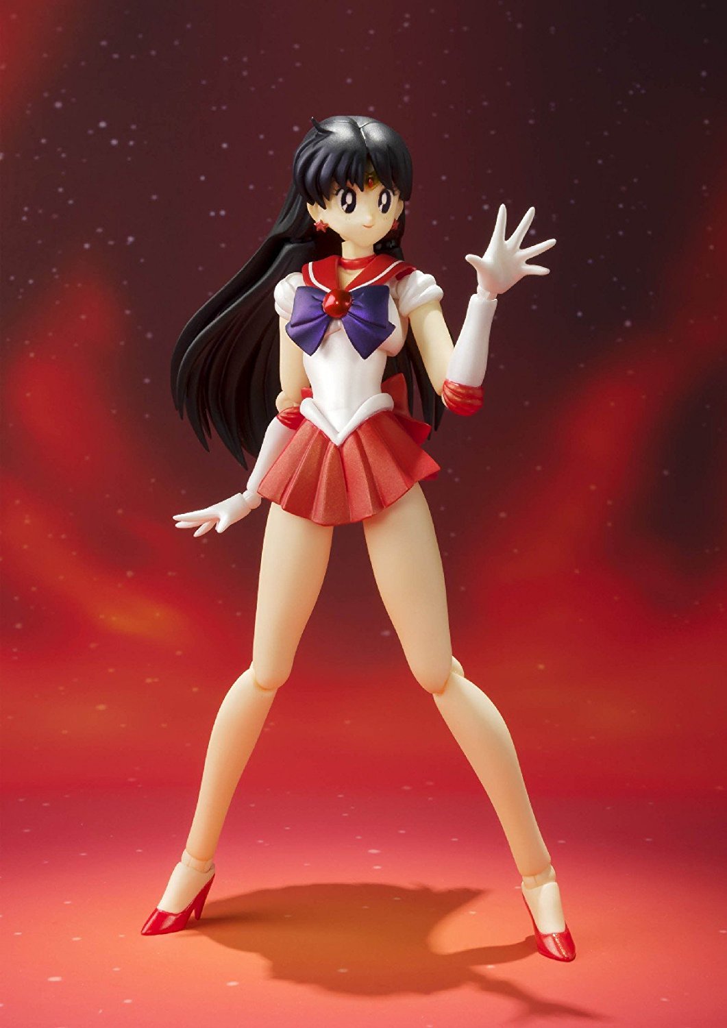 P.willinckii Sailor Jupiter セーラージュピター　子株 P.willinckii Sailor Jupiter セーラージュピター 子株 - メルカリ