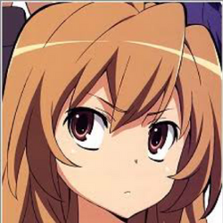 Who's the better Waifu? - Taiga Or Megumi : r/toradora