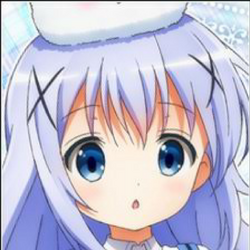 Chino Kafuu, Wiki