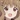 Sakurako o
