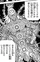 Los Chakras de Krishna.