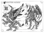 Esquema de Griffon (Kanzenban).