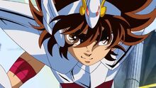 The First Pegasus Saint named Seiya