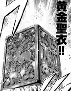 Sagittarius Cloth Box in Saintia-Sho