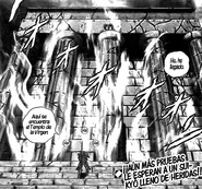 Templo de Virgo Manga Next Dimension