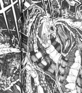 Primera imagen de Apofis