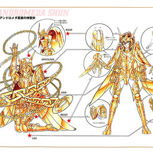 God Cloths Seiyapedia Fandom Find great deals on ebay for saint cloth myth pegasus seiya. god cloths seiyapedia fandom