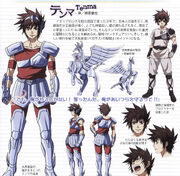 Tenma cloth pegaso