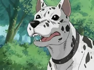 Primera imagen de Adolf