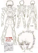 Corona Cloth de Quilla