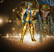 Camus de Acuario (Gold Cloth)