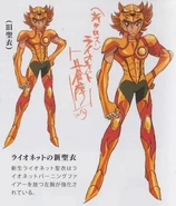 Shin Cloth du Petit Lion