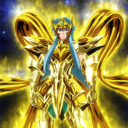 Aquarius God Cloth Seiyapedia Fandom The story follows five mystical warriors called the saints (or knights) who fight wearing sacred armors called cloths. aquarius god cloth seiyapedia fandom
