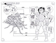 Musca Schema.jpg (122 KB) Musca Cloth (Manga)