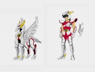 Early Cloth de Pegaso