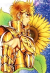 Aiolia Girasol