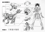 Cloth de la Osa Menor