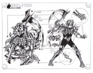 Skeleton.jpg (237 kB) Surplice de Skeleton