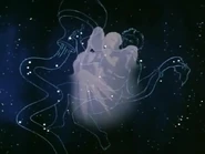 Acuario 1.jpg (22 kB)