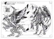 Griffon Surplice.jpg (164 kB) Surplice de Grifo