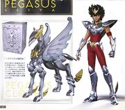 Pegasoclth