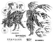 EsquemaVeronicadeNasu.jpg (1,54 MB) Surplice de Nasu