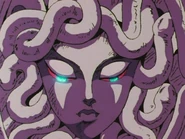 The Shield of Medusa close up