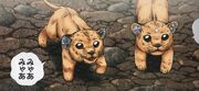 Goldie and Blondie littles Lions