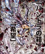 Pegasus cloth Episode G Requiem.jpg