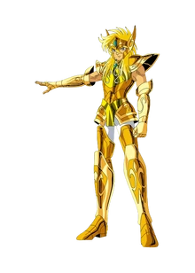 Gold Saint 11-Aquarius Hyoga-1