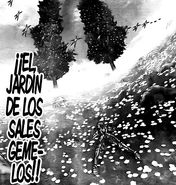 Sales gemelos Next Dimension