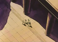 Salida del Templo de la Cabra Montesa