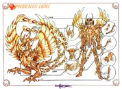 God Cloth de Fénix (Esquema)