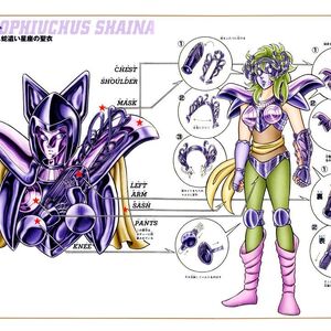 蛇遣い星座のシャイナ 聖闘士星矢 Wiki Fandom 蛇遣い星座のシャイナ 聖闘士星矢 Wiki Fandom