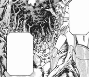 El Saint de las constelación de Canes Venatici y un Saint desconocido