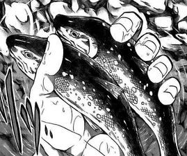 Ilías de Leão pede peixes ao rio.