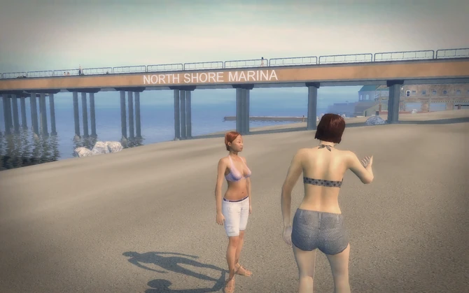 Centennial Beach - Civilians and North Shore Marina boardwalk