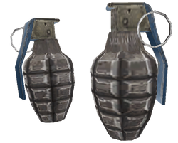 Hand Grenade(SR2)